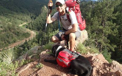 Paws On The Peak: A Superpower Dog Story