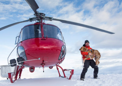 Helicopter Rescue Superpower Dog